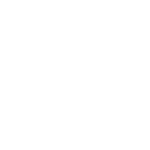 ALUMNI CLOTHING logo